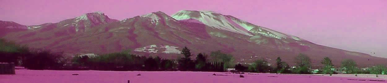 浅間山紫