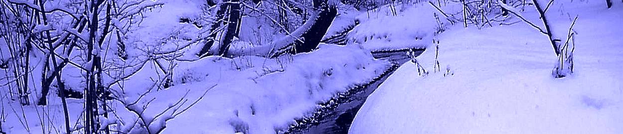 雪の御影用水